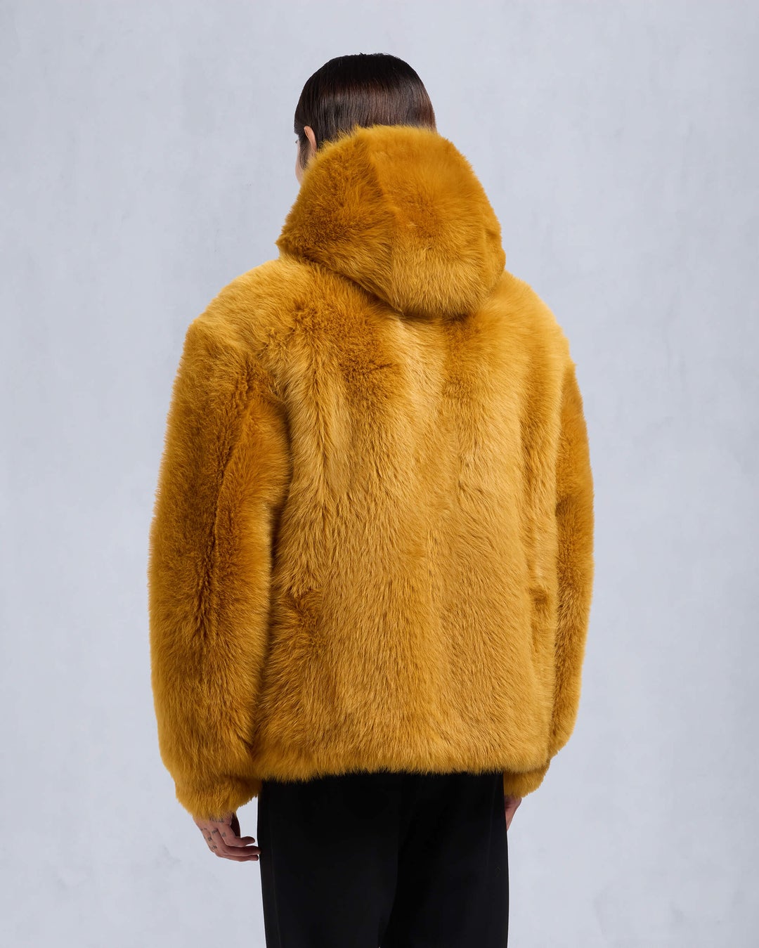 Yellow Orange Moose Knuckles Gold Series Mikeno Shearling Men Winter Jacket | USA-NDJPW4037